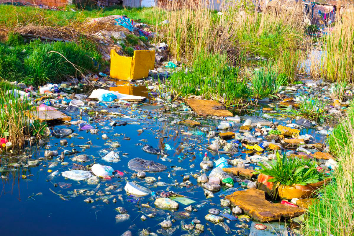 Waste floating on the surface of the water in a natural environment, brought in by floods.